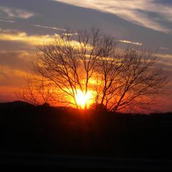 Sunrise & Sunset