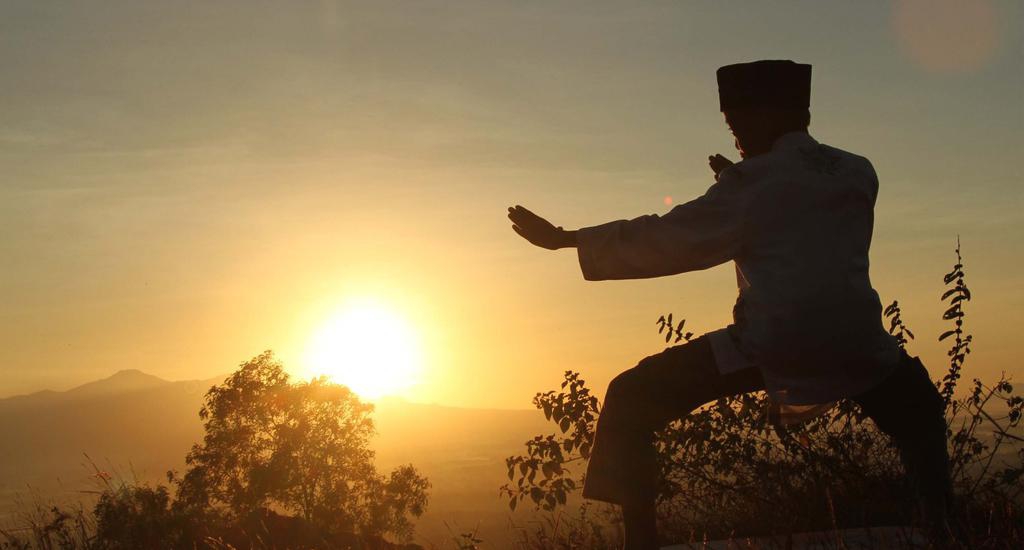 Pencak Silat